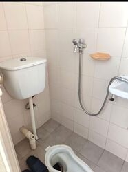 Oleander Towers (D12), Apartment #584476781
